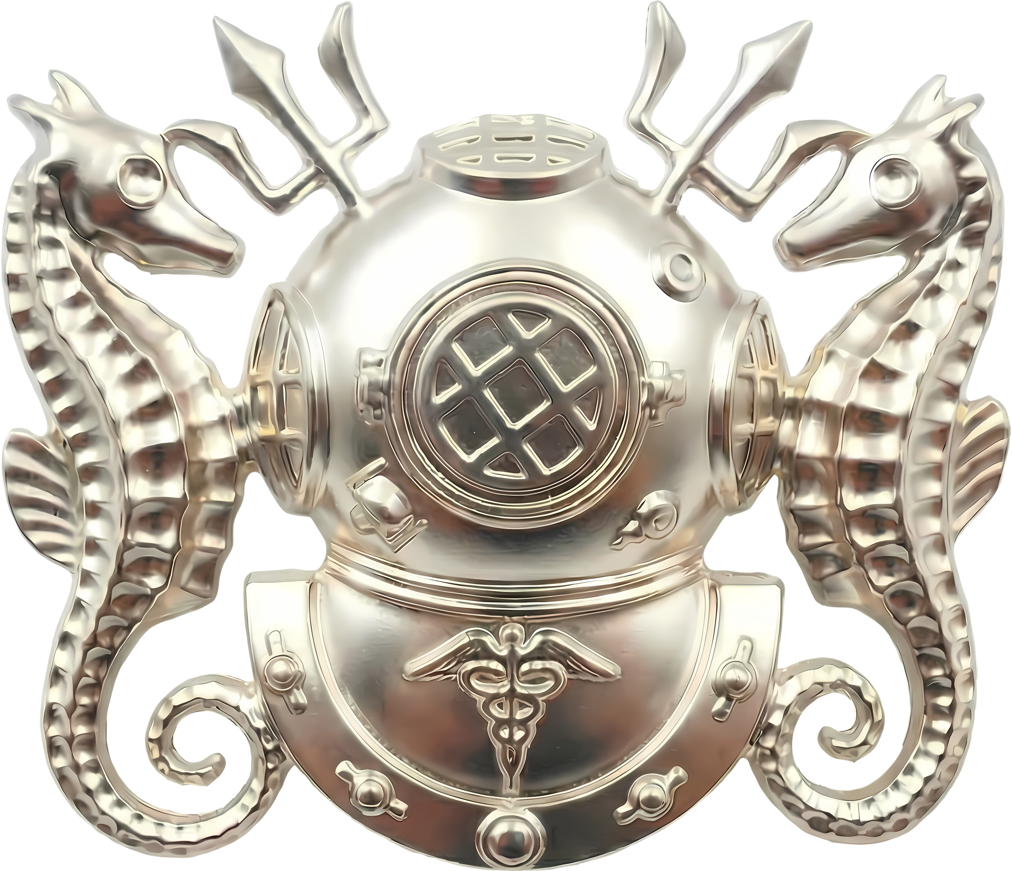Diving Medical Technician (color) preview