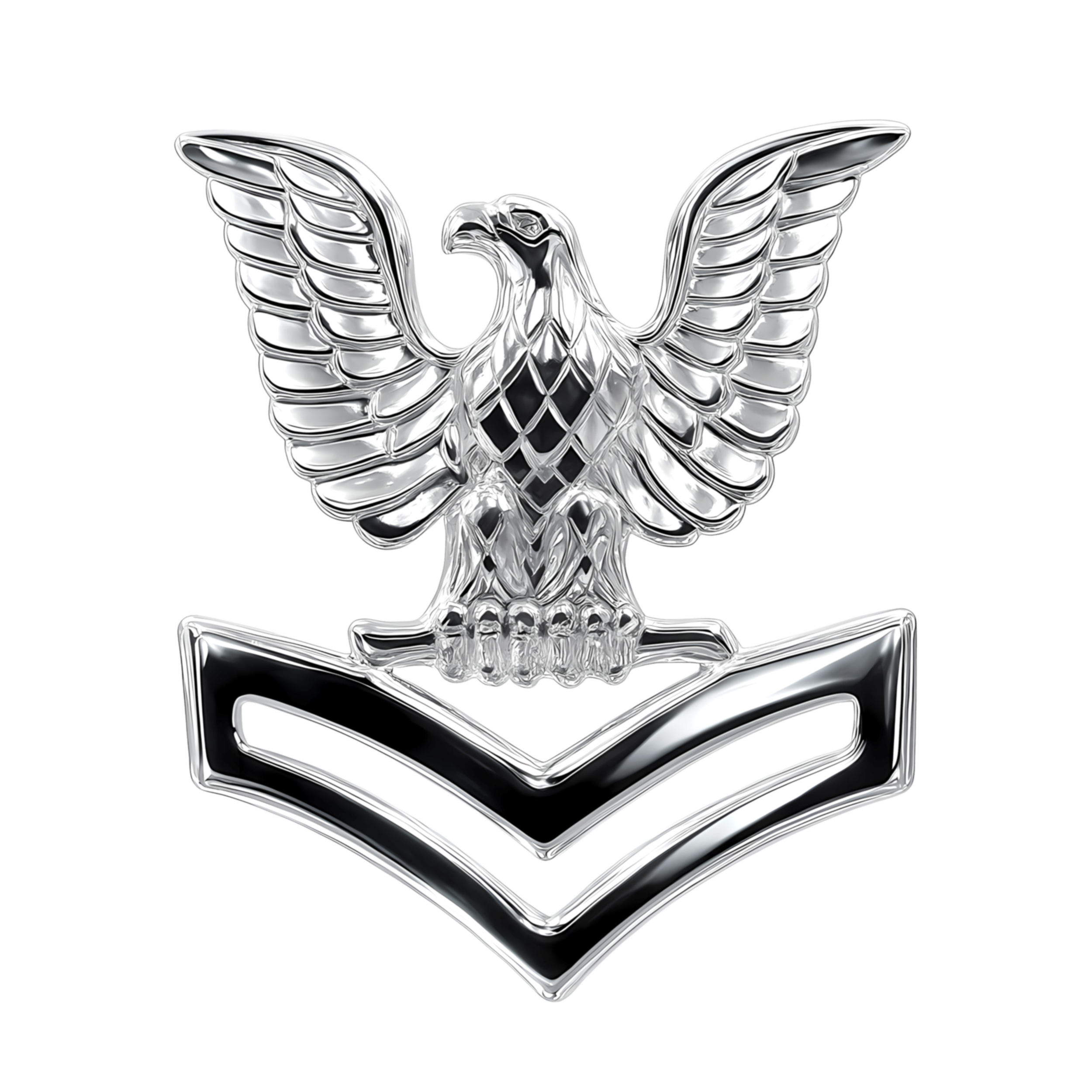 Second Class Petty Officer (left) preview