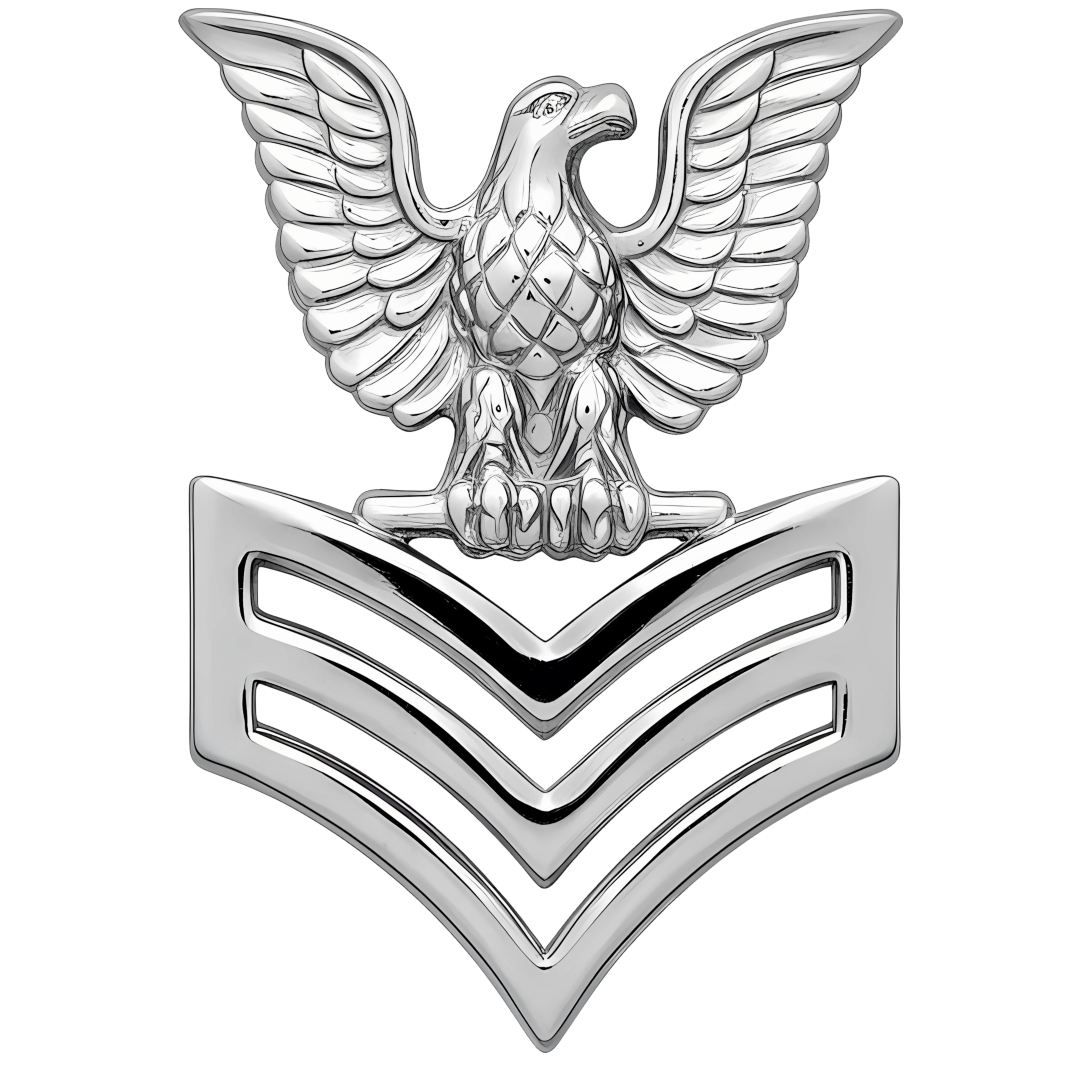 First Class Petty Officer (right) preview