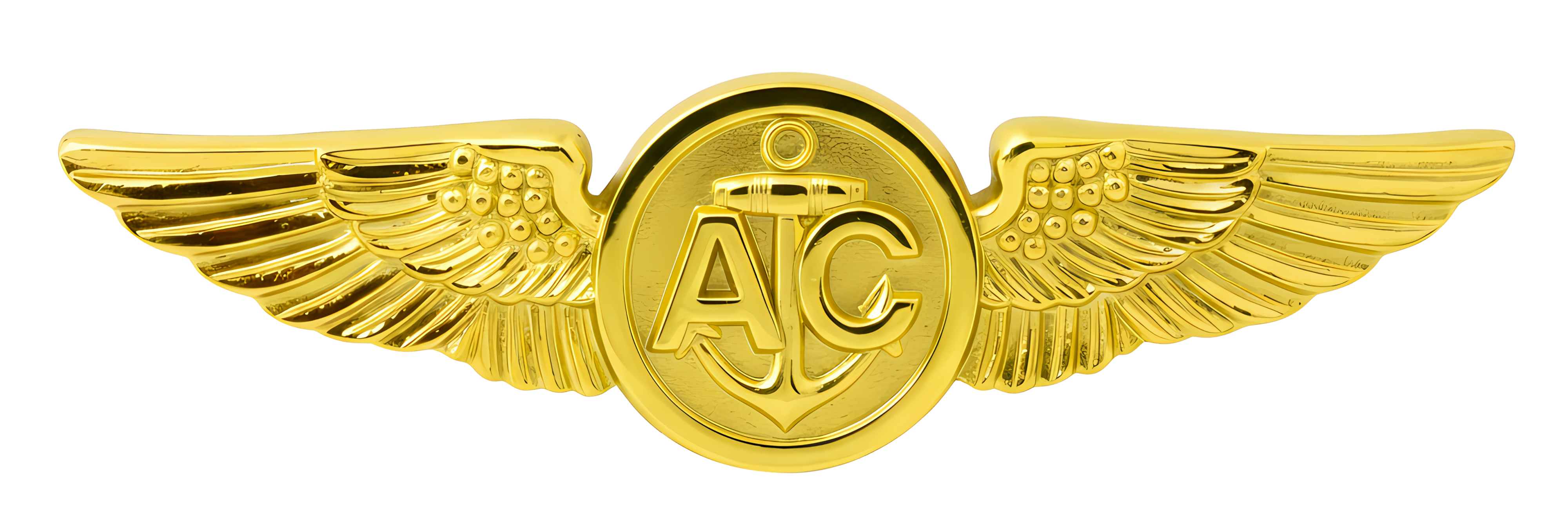 Naval Aircrew preview