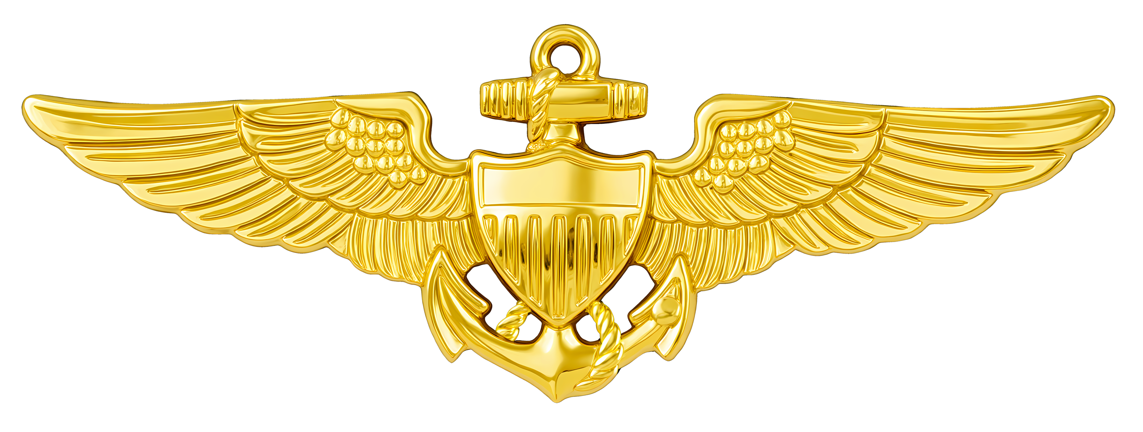 Naval Aviator (Pilot) preview