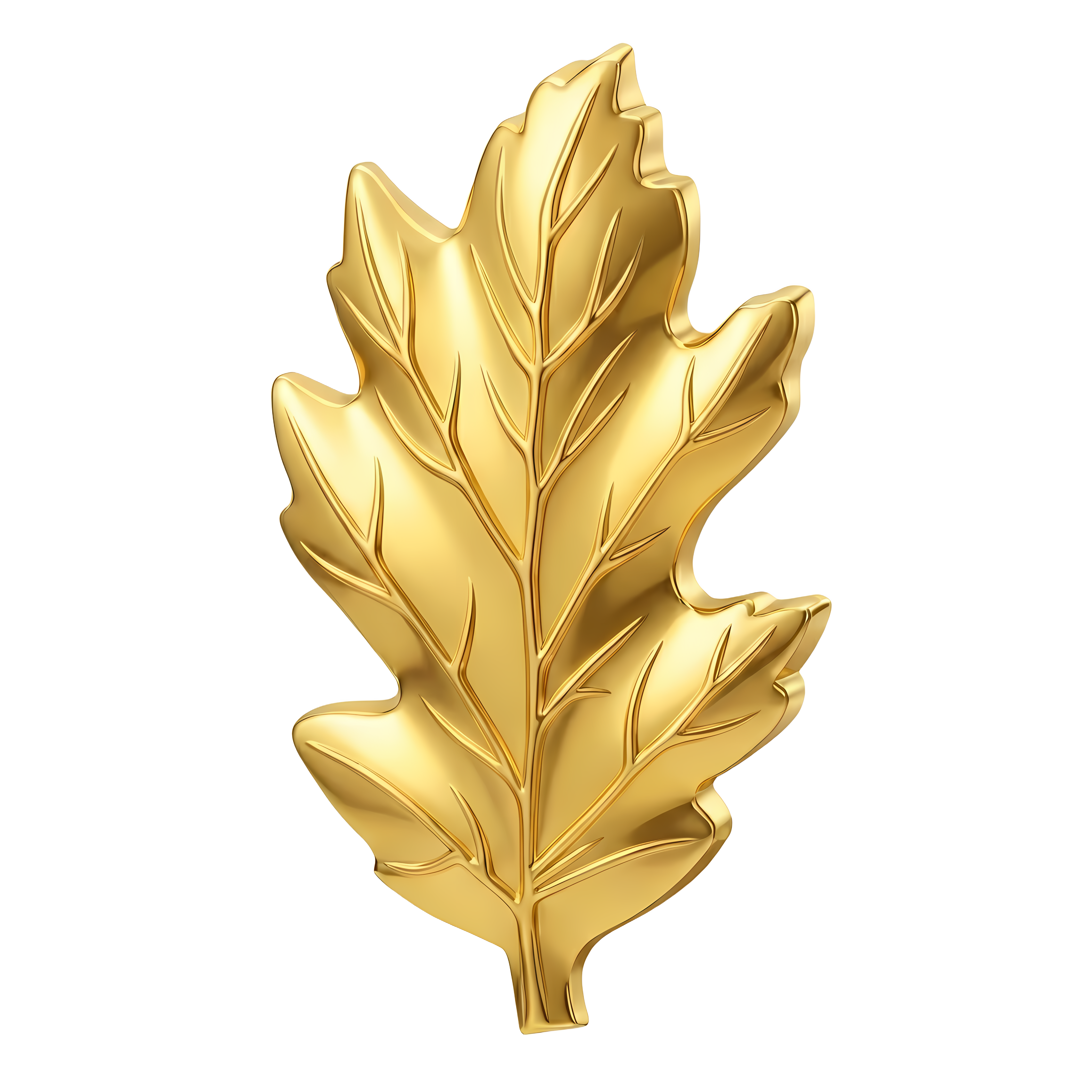 Nurse Corps device preview