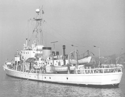 Customer Provided Image