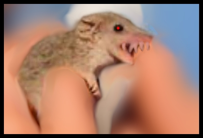 Customer Provided Image