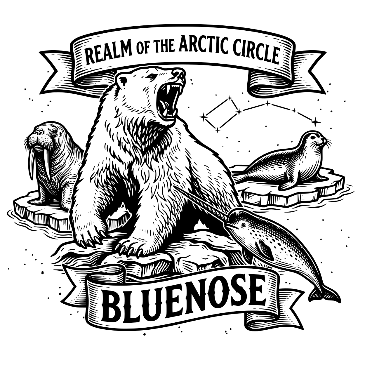 Bluenose preview