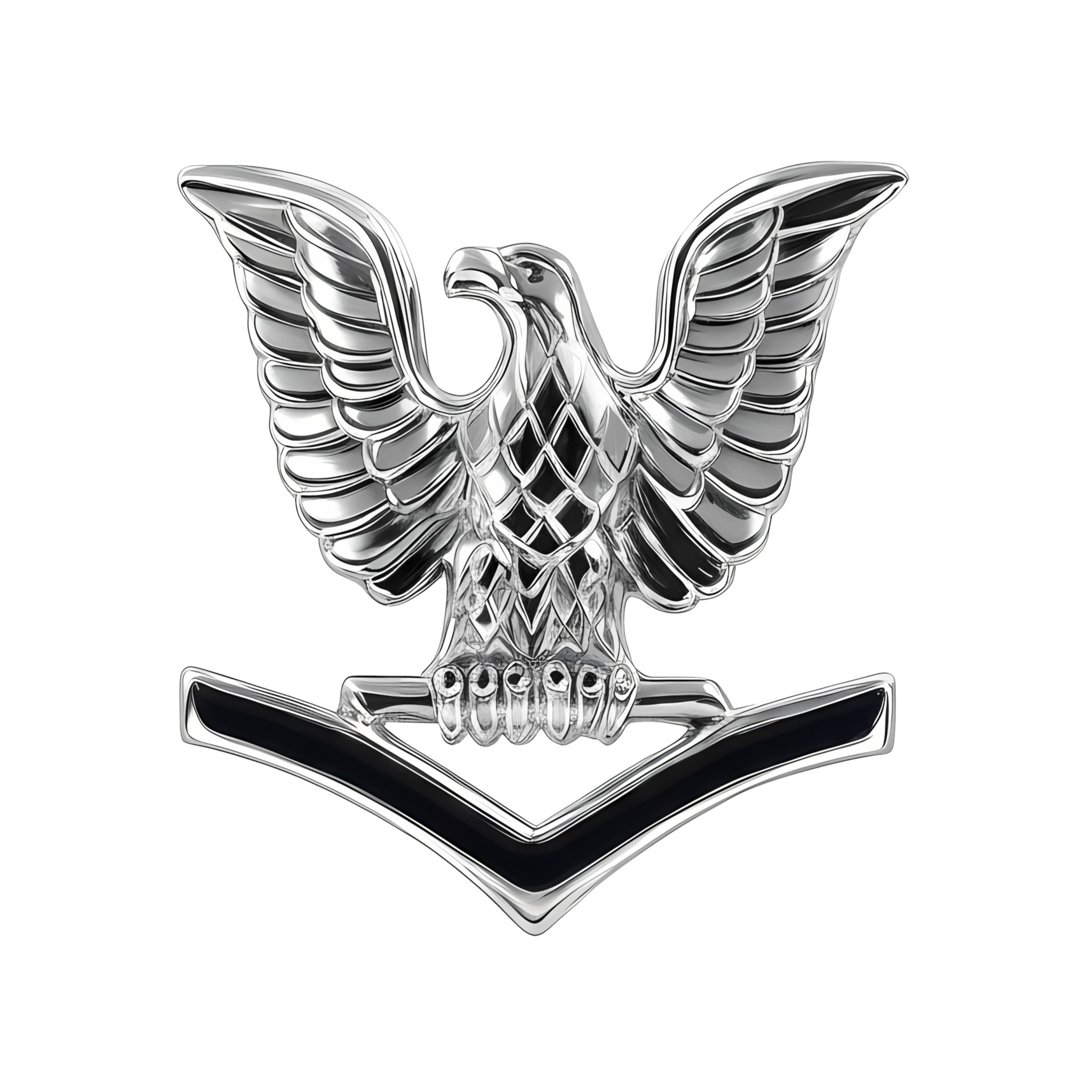 Third Class Petty Officer (left) preview