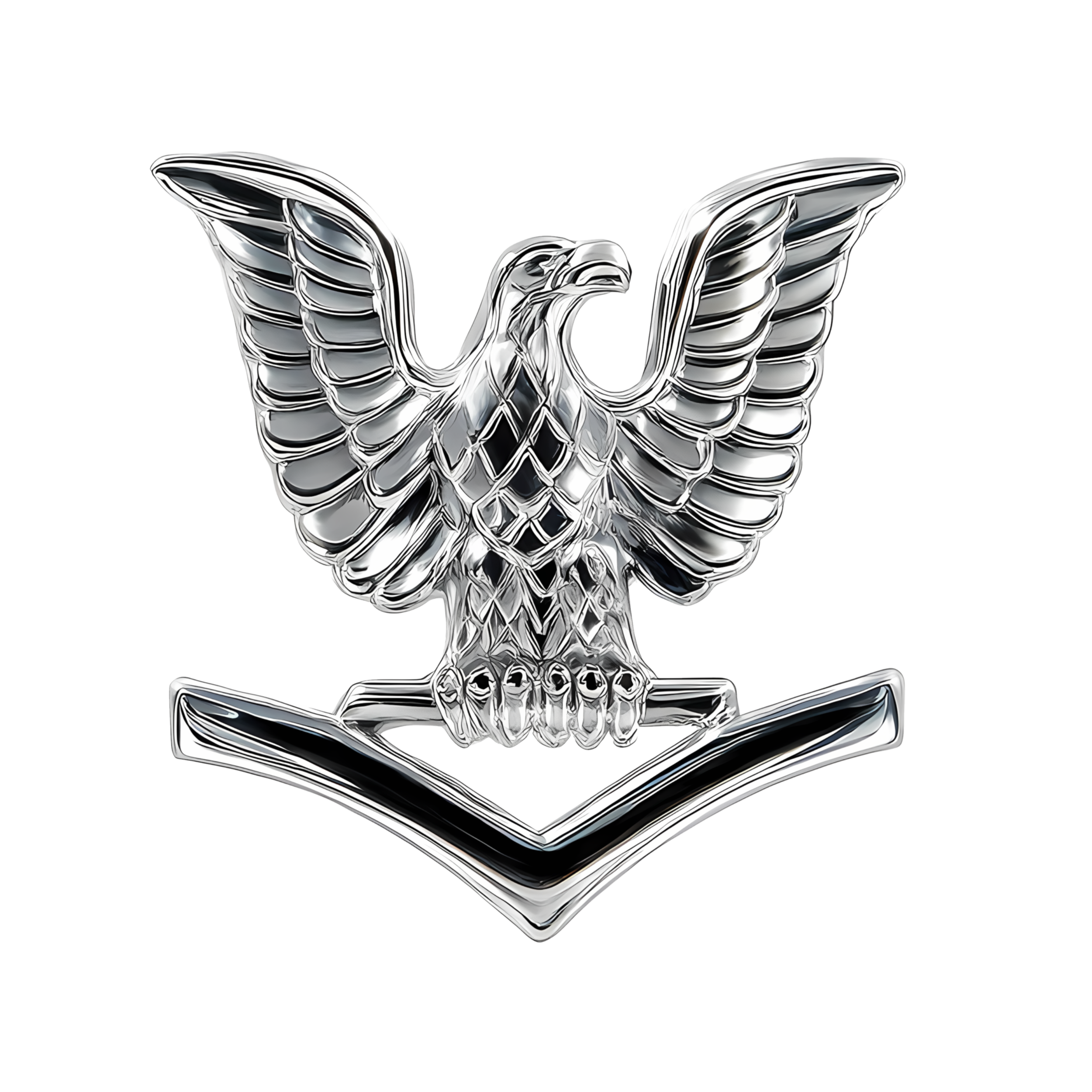 Third Class Petty Officer (right) preview