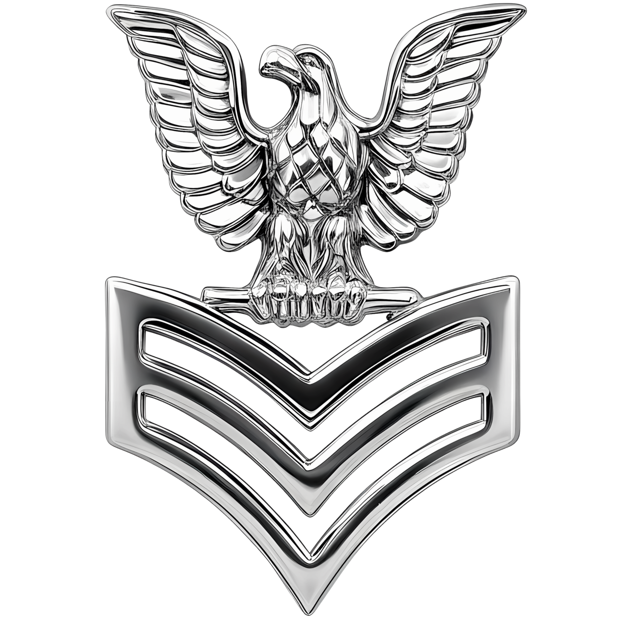 First Class Petty Officer (left) preview