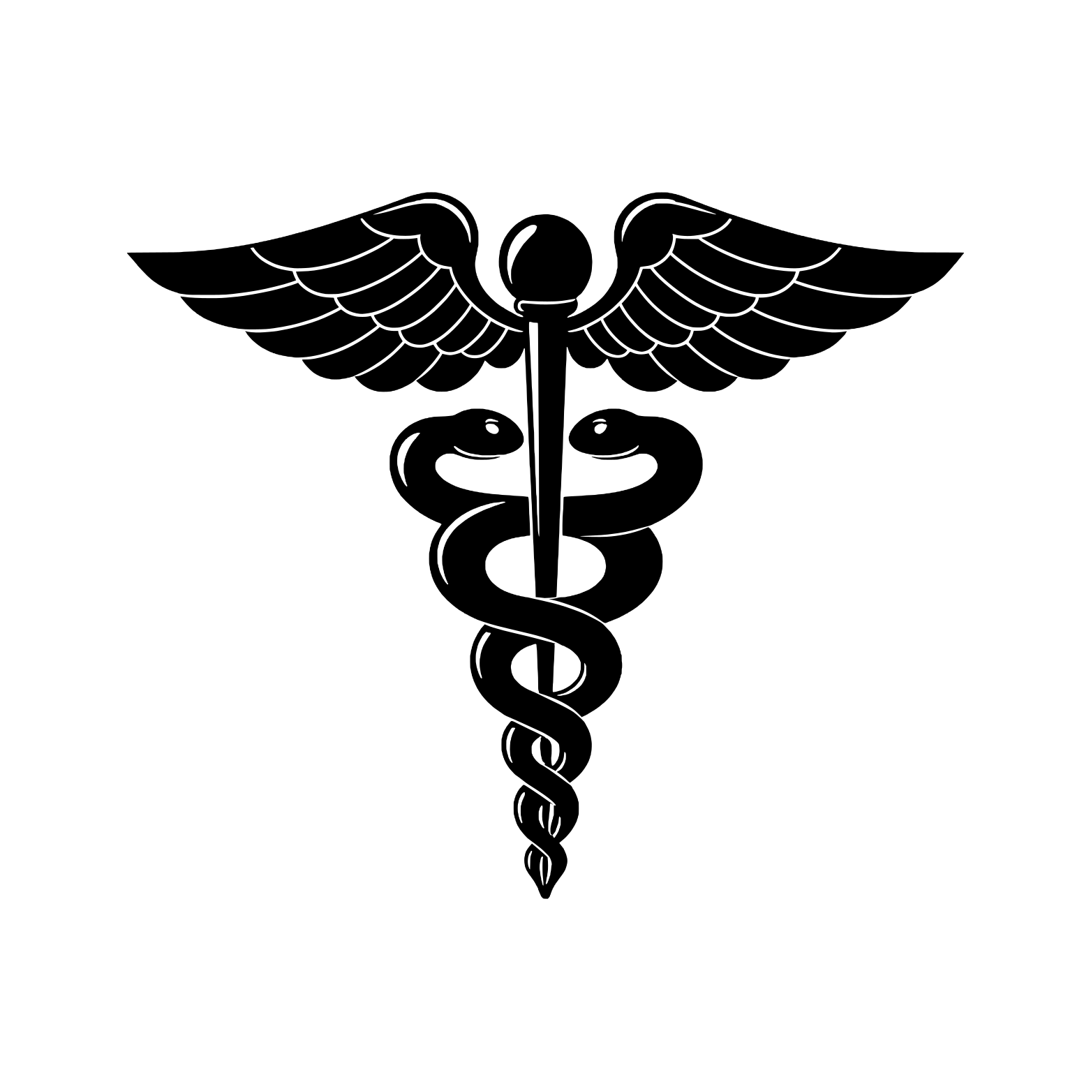 Hospital Corpsman preview