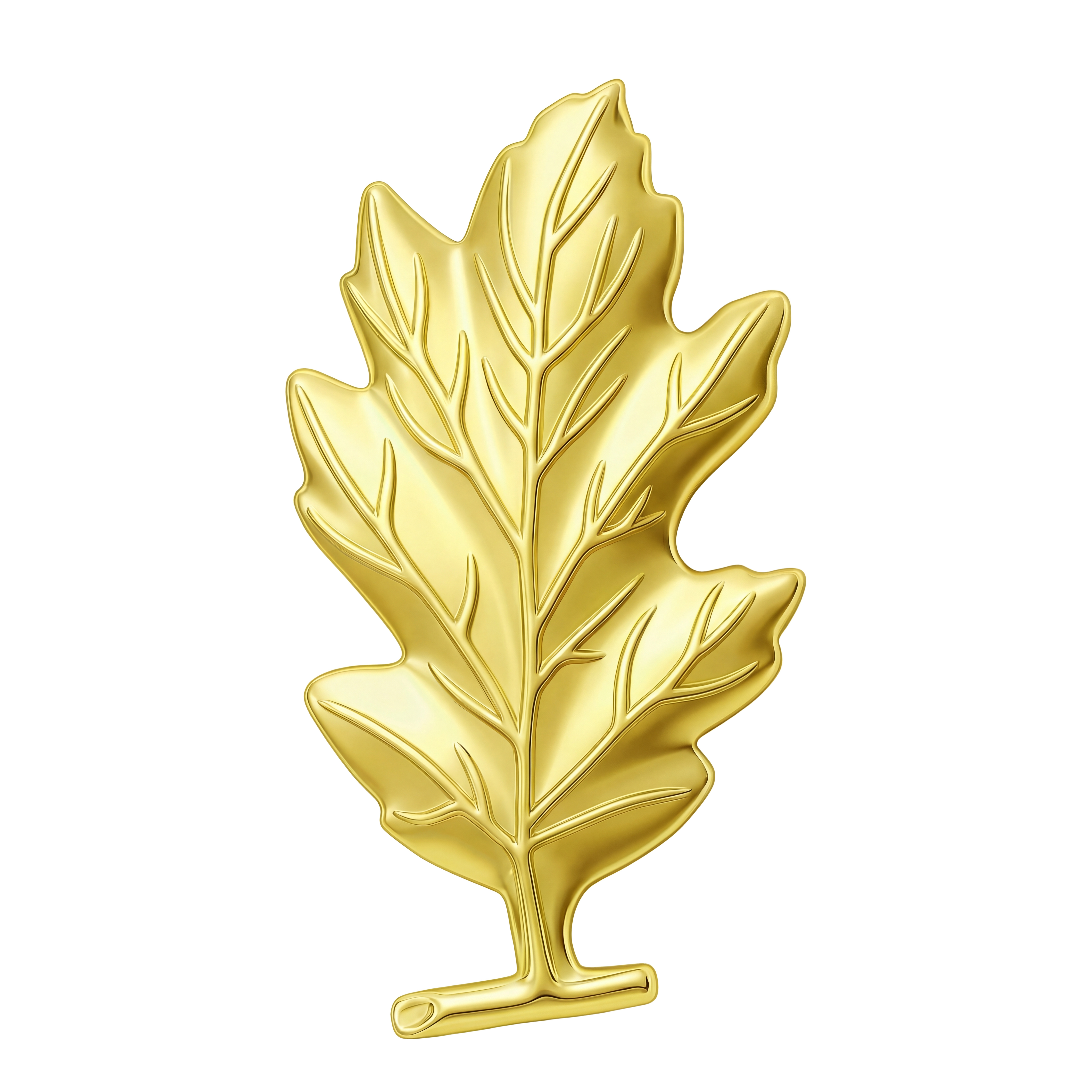 Medical Service Corps preview