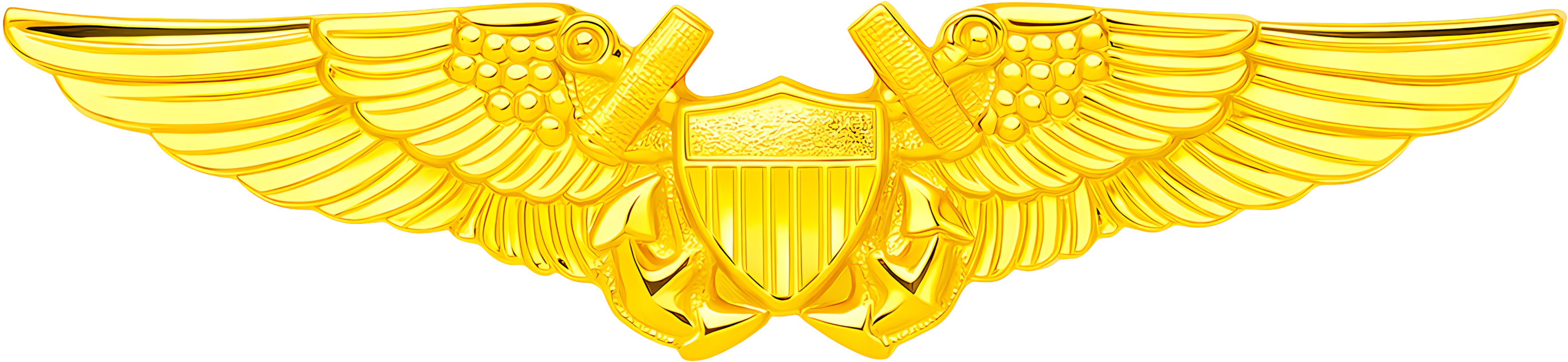 Naval Flight Officer Warfare Insignia (color) preview